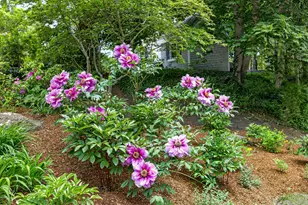 370 Main St, Dennis, MA 02660 - Photo 81
