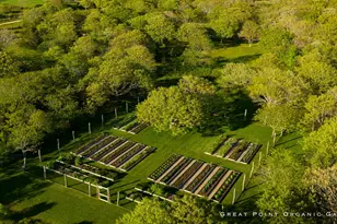 15 Forever Wild Way, Edgartown, MA 02539 - Photo 17
