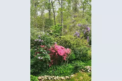 988 Crowells Bog Road, Brewster, MA 02631 - Photo 63