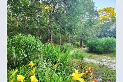 988 Crowells Bog Road, Brewster, MA 02631 - Photo 81