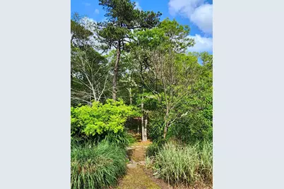 988 Crowells Bog Road, Brewster, MA 02631 - Photo 79