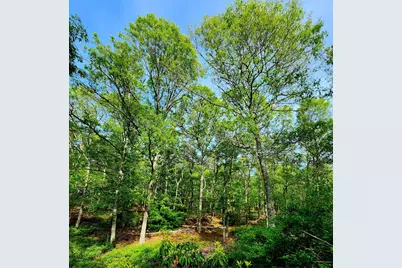988 Crowells Bog Road, Brewster, MA 02631 - Photo 67