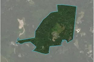 19 Locust Ln, Chilmark, MA 02535 - Photo 39