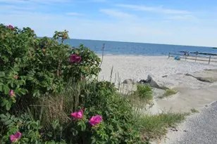 844 Route 28, Yarmouth, MA 02664 - Photo 5