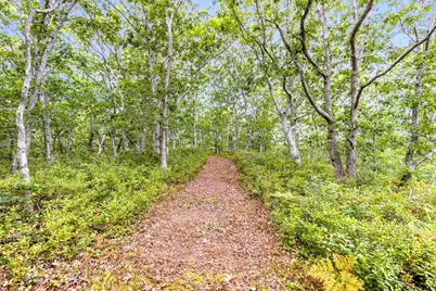 35A Higgins Hollow Road, Truro, MA 02652 - Photo 5