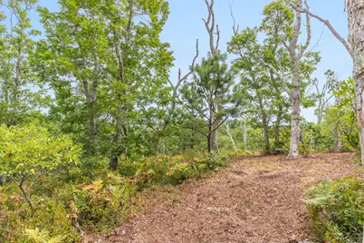 35A Higgins Hollow Road, Truro, MA 02652 - Photo 7