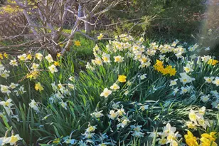 300 Paine Hollow Rd, Wellfleet, MA 02667 - Photo 61