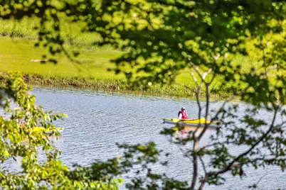 14 Ellen Lane, Bourne, MA 02559 - Photo 53