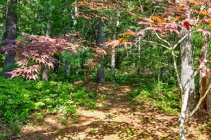 90 Forest Glade, Falmouth, MA 02536 - Photo 27