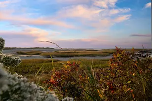 37 Autumn Ct, Brewster, MA 02631 - Photo 87