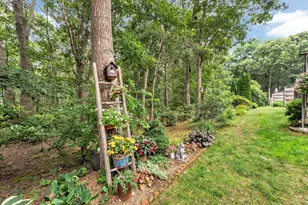 441 Buck Island Rd, Yarmouth, MA 02673 - Photo 15