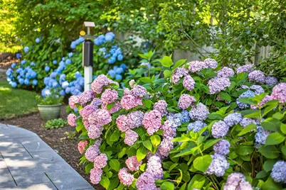 15 Shattuck Place #UNIT 15, Chatham, MA 02633 - Photo 45