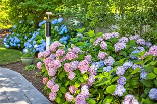 15 Shattuck Pl, Chatham, MA 02633 - Photo 45