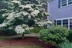 160 Quail Cover Ln, Eastham, MA 02642 - Photo 39