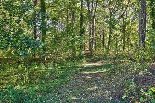 343 Tonset Rd, Orleans, MA 02653 - Photo 51