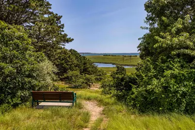 43 Tobey Turtle Road, Chatham, MA 02633 - Photo 37