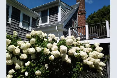 2485 Main Street, Chatham, MA 02659 - Photo 15