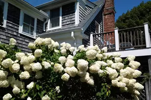 2485 Main St, Chatham, MA 02659 - Photo 15