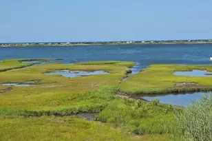 49 The Blvd, Edgartown, MA 02539 - Photo 15