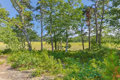 56 Warren Road, Wellfleet, MA 02667 - Photo 29