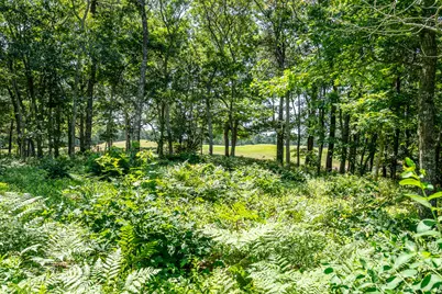 8 Macandrew Drive, Dennis, MA 02638 - Photo 19