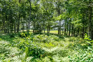 8 Macandrew Dr, Dennis, MA 02638 - Photo 19