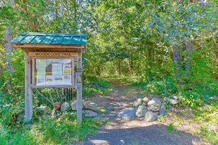 311 Tonset Rd, Orleans, MA 02653 - Photo 51
