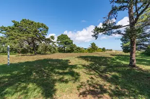 9 Bassing Harbor Rd, Chatham, MA 02633 - Photo 69