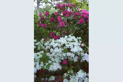 70 Acre Hill Road, Barnstable, MA 02630 - Photo 45