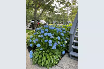 63 Evergreen Street, Yarmouth, MA 02664 - Photo 23