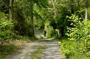 31 Monument Rd, Orleans, MA 02653 - Photo 1