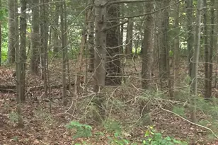 37 Ships Rudder Dr, Mashpee, MA 02649 - Photo 1