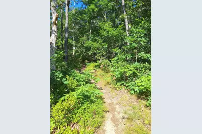 49 Oak Valley Road, Wellfleet, MA 02667 - Photo 1