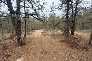 0 Ash Ct, Dennis, MA 02660 - Photo 1