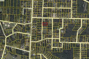 Lot 1 Newberry Rd, Youngstown, FL 32466 - Photo 1