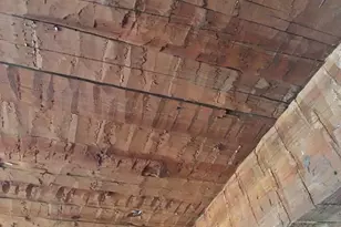 10012 Windsong Way, Blountstown, FL 32424 - Photo 71