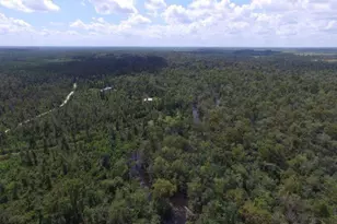 10012 Windsong Way, Blountstown, FL 32424 - Photo 79