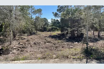 163 Parkshore Drive, Panama City Beach, FL 32413 - Photo 1