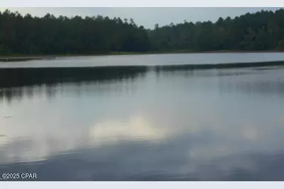 000 Drury Lane, Alford, FL 32420 - Photo 3