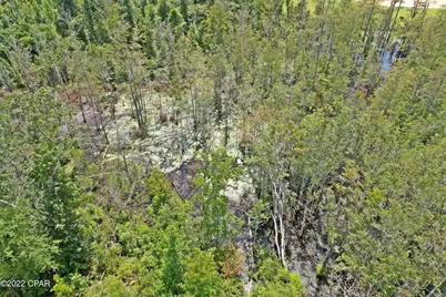 00 Perry Road, Cottondale, FL 32431 - Photo 9