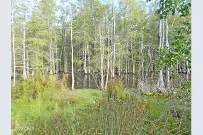 00 Perry Road, Cottondale, FL 32431 - Photo 15