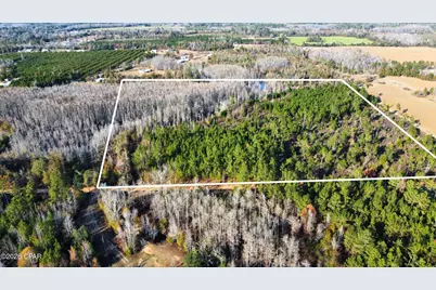 00 Perry Road, Cottondale, FL 32431 - Photo 3