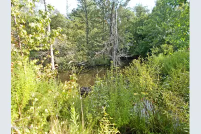 00 Perry Road, Cottondale, FL 32431 - Photo 13