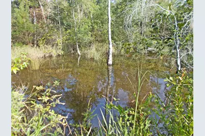 00 Perry Road, Cottondale, FL 32431 - Photo 11