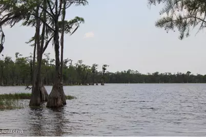 21558 NW Lake McKenzie Boulevard, Altha, FL 32421 - Photo 9