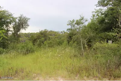 21558 NW Lake McKenzie Boulevard, Altha, FL 32421 - Photo 3