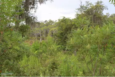 21558 NW Lake McKenzie Boulevard, Altha, FL 32421 - Photo 7