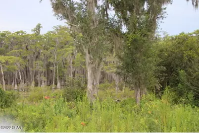 21558 NW Lake McKenzie Boulevard, Altha, FL 32421 - Photo 5