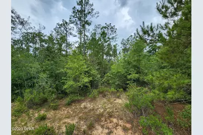 0 Reed Court #Lot 14, Alford, FL 32420 - Photo 9