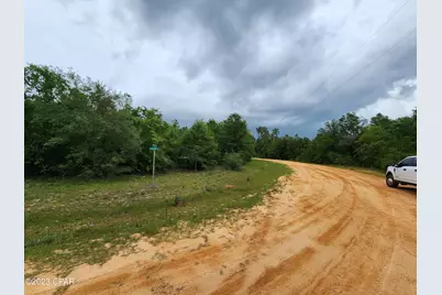 0 Onida Street #Lot 5, Alford, FL 32420 - Photo 7